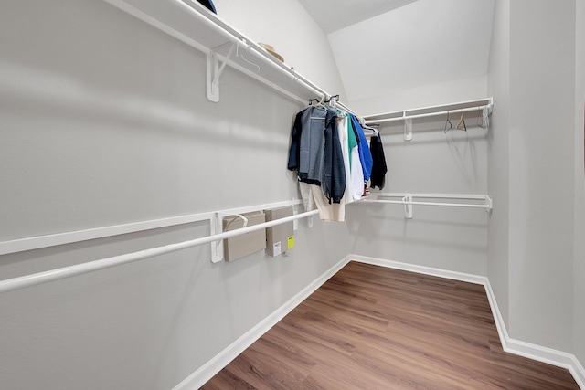 spacious closet with wood finished floors