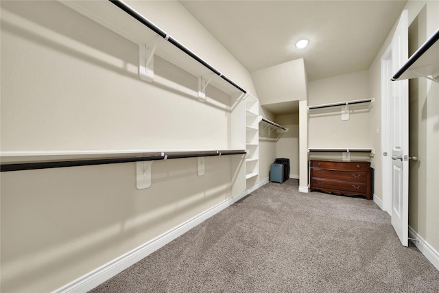 walk in closet with carpet