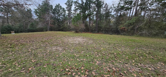 Listing photo 2 for TBD Black Haw, Onalaska TX 77360