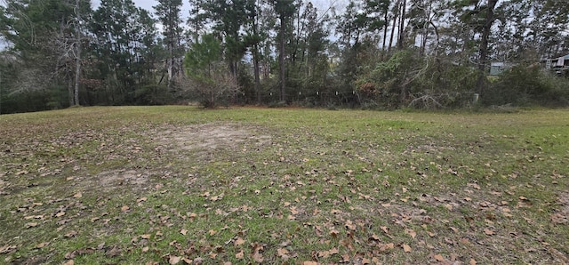 Listing photo 3 for TBD Black Haw, Onalaska TX 77360