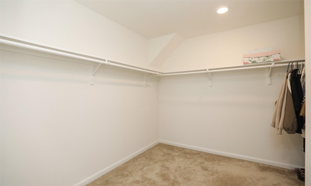 walk in closet featuring light carpet