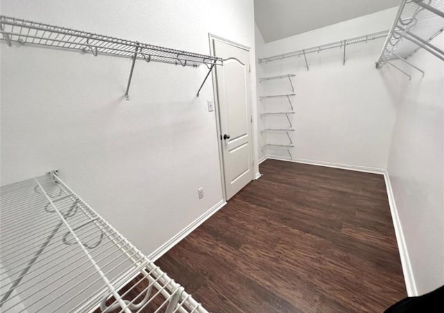 spacious closet featuring wood finished floors