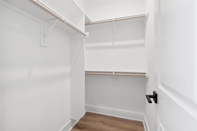 walk in closet featuring wood finished floors