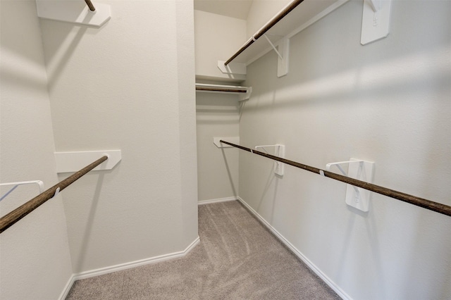 walk in closet featuring light carpet