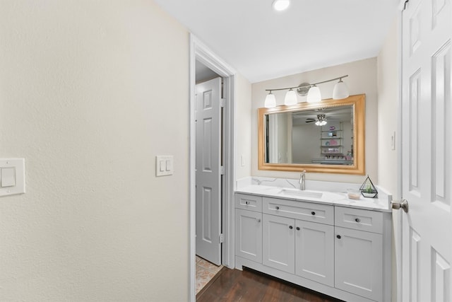 bathroom featuring wood finished floors and vanity