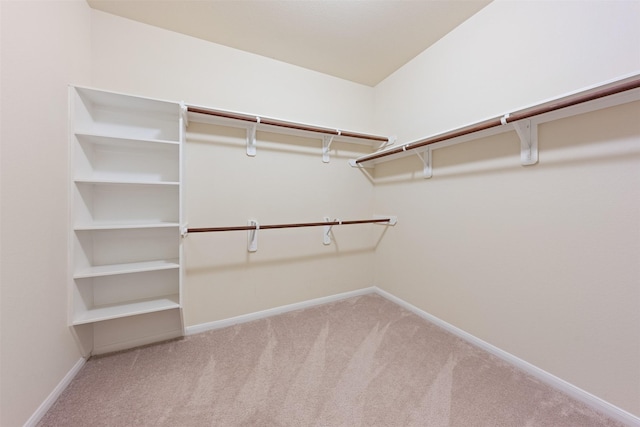 spacious closet with carpet