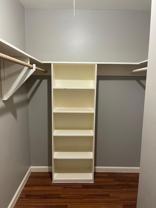 walk in closet with wood finished floors