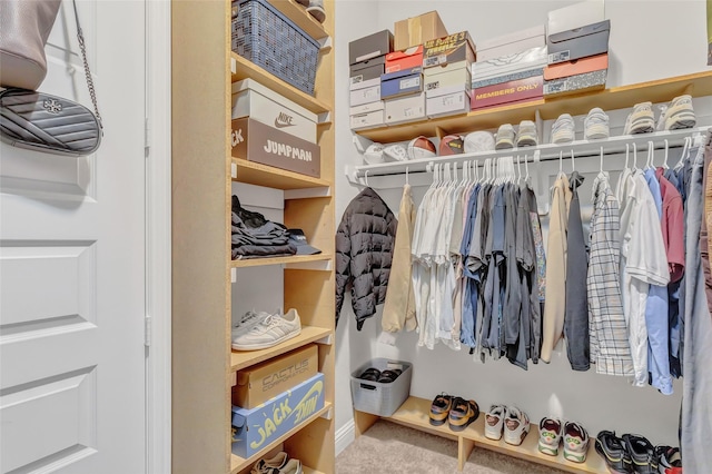 spacious closet with carpet floors