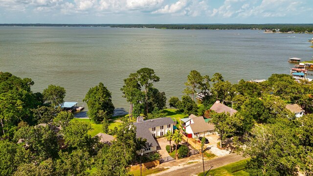 618 Palmetto Dr, Livingston, TX 77351 - photo 40