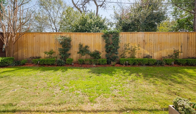 view of yard featuring a fenced backyard