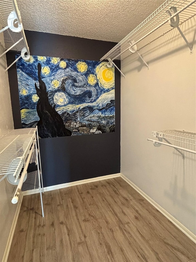 spacious closet with wood finished floors