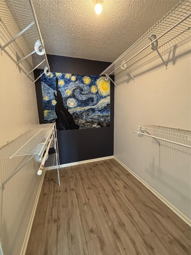 walk in closet with wood finished floors