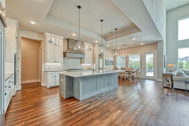 kitchen featuring custom range hood, a tray ceiling, and dark wood-type flooring