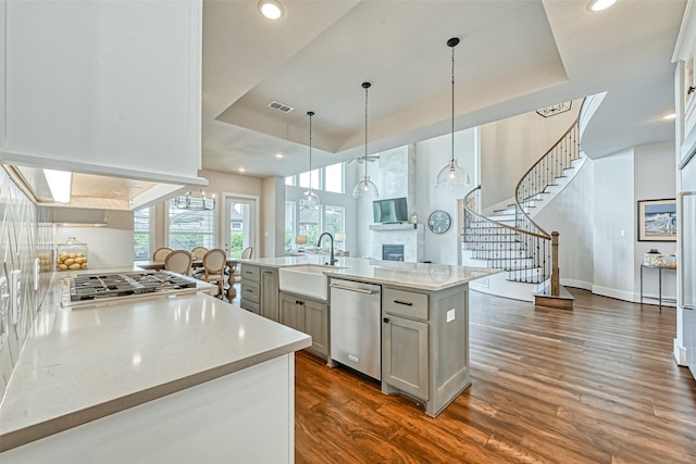 kitchen featuring dark wood finished floors, a raised ceiling, visible vents, appliances with stainless steel finishes, and a sink