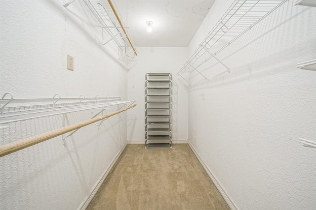 spacious closet featuring light colored carpet