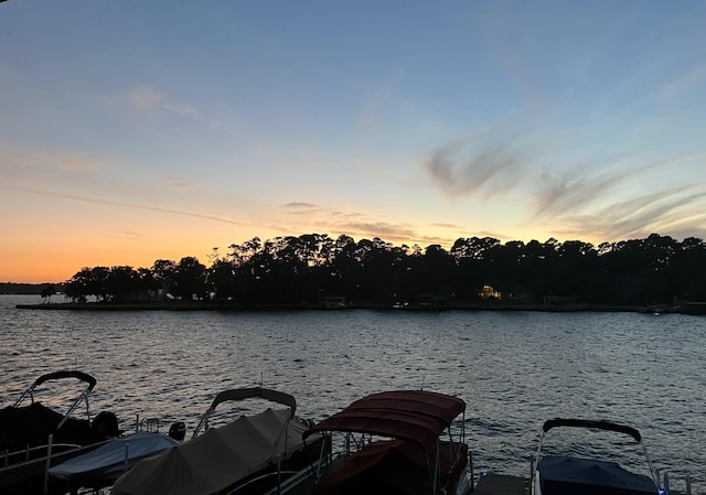 dock area featuring a water view