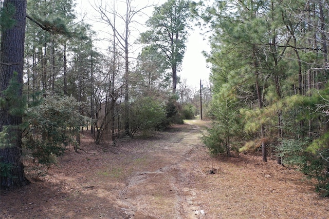 303 An County Road 2105, Palestine TX, 75803 land for sale