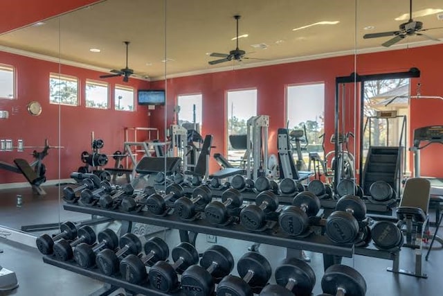 exercise room featuring ceiling fan, a wealth of natural light, and ornamental molding