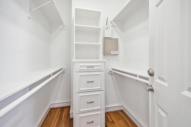 walk in closet featuring dark wood-type flooring