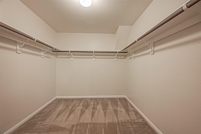 walk in closet with carpet