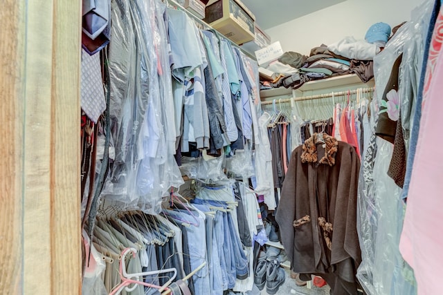 view of spacious closet