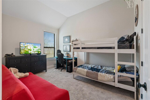 240 Lookout Ridge Dr, Montgomery, TX 77316 - photo 24