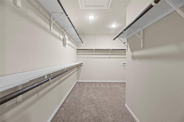 spacious closet featuring carpet flooring and attic access