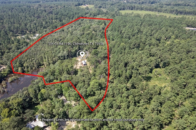 334 County Road 3190, Colmesneil, TX 75938 - view of property location with property boundaries highlighted