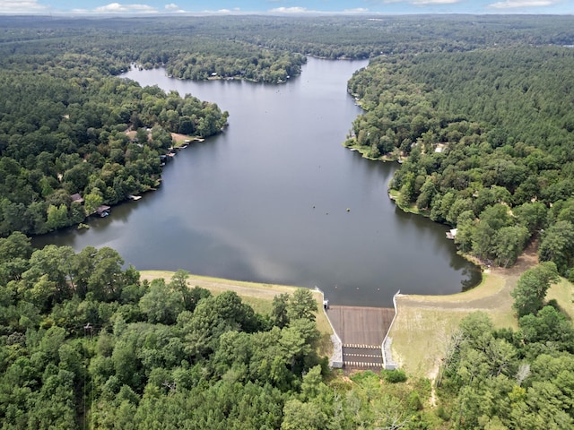 334 County Road 3190, Colmesneil, TX 75938 - bird's eye view of a heavily wooded area and a large body of water