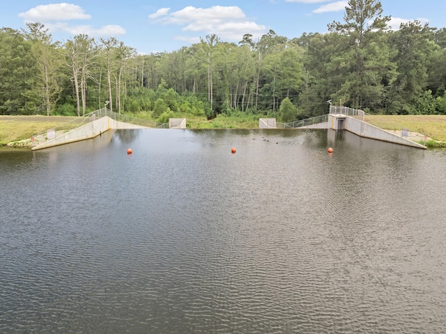 334 County Road 3190, Colmesneil, TX 75938 - water view featuring a forest