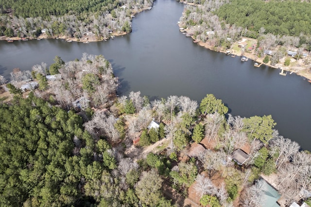 334 County Road 3190, Colmesneil, TX 75938 - view of property location with a forest and a nearby body of water