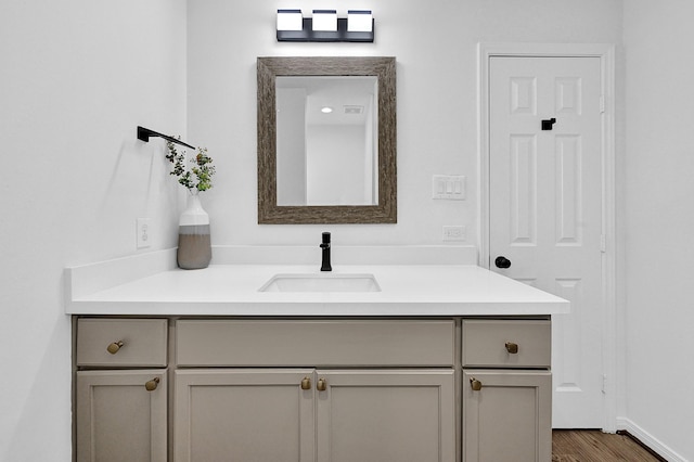 bathroom featuring wood finished floors and vanity