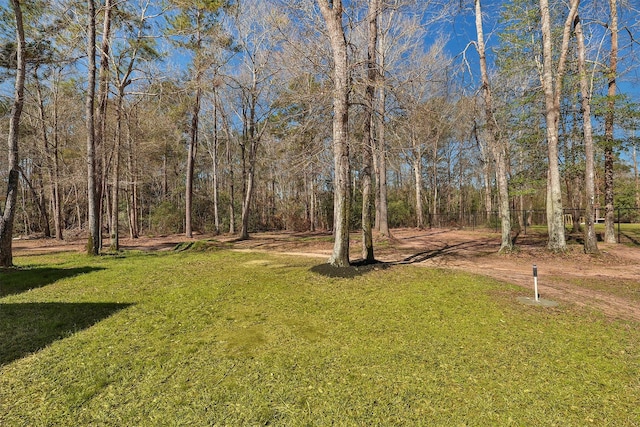 view of yard with a wooded view