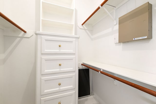 view of walk in closet