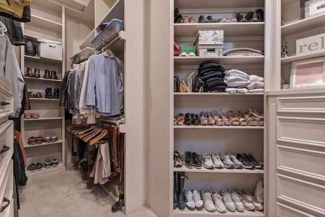 spacious closet with carpet flooring