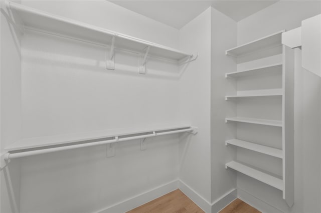 spacious closet featuring wood finished floors