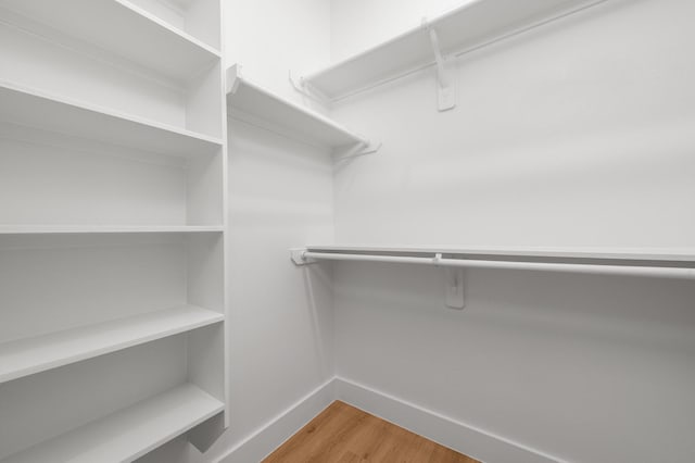 walk in closet featuring wood finished floors