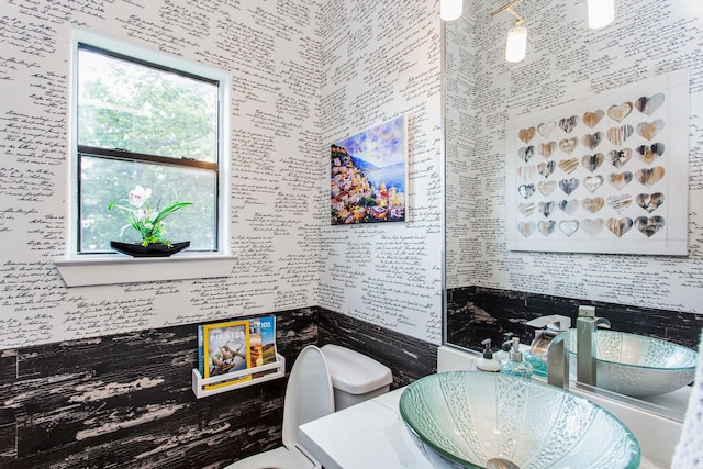 bathroom with toilet and vanity