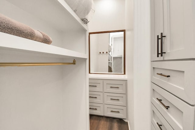 spacious closet featuring dark wood-style floors