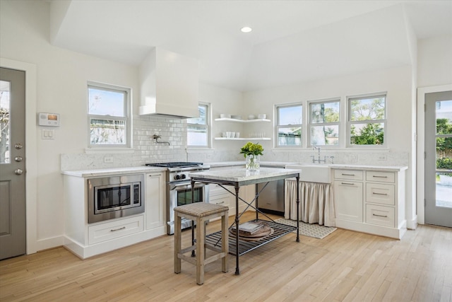 kitchen featuring appliances with stainless steel finishes, light wood-type flooring, premium range hood, and decorative backsplash