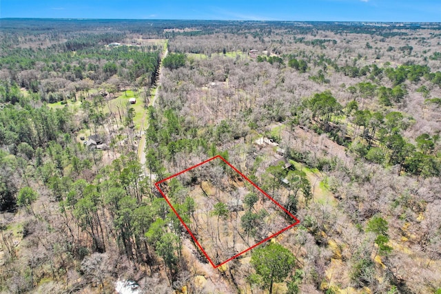 aerial view with a view of trees