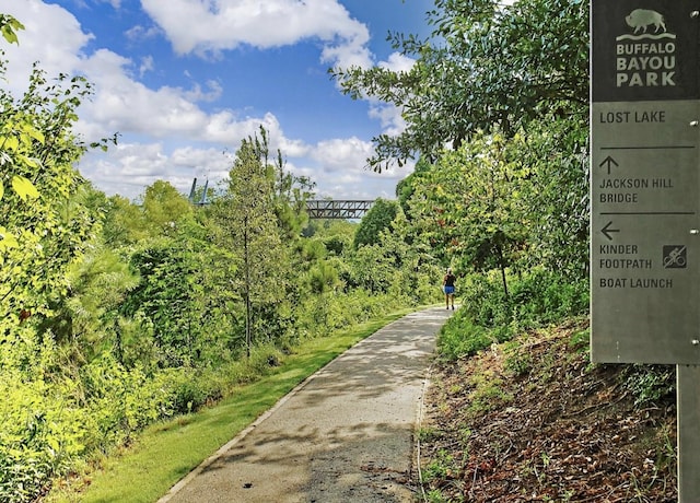 6304 Chelsea Falls Ln, Houston, TX 77008 - view of community