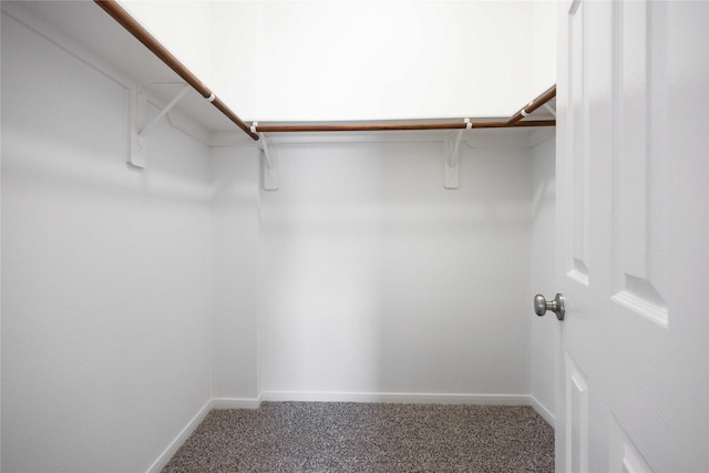 walk in closet with carpet flooring