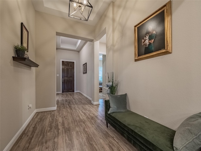 entrance foyer with wood finished floors, a raised ceiling, and baseboards