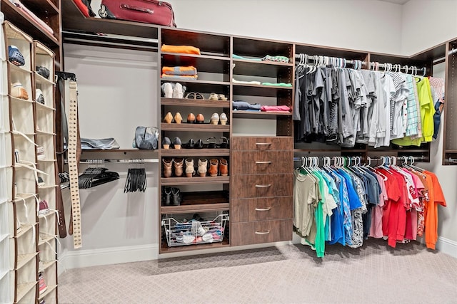 view of walk in closet