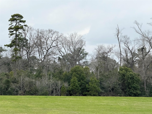 0 Rhodes Rd, Spring TX, 77379 land for sale