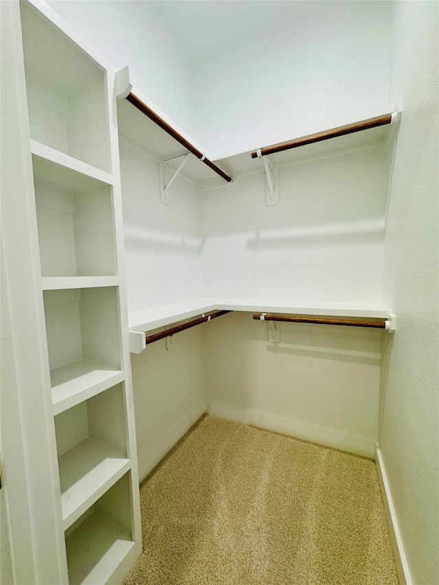 212 Rim Rock Rd, Huntsville, TX 77340 - spacious closet with carpet floors