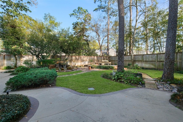 view of yard with a patio area and a fenced backyard