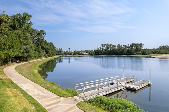 dock area with a water view