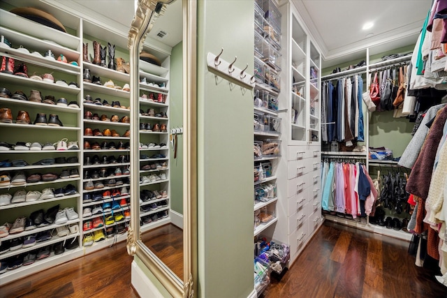 walk in closet featuring wood finished floors